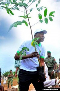 Plant en main, le président Boni Yayi donne le bon exemple
